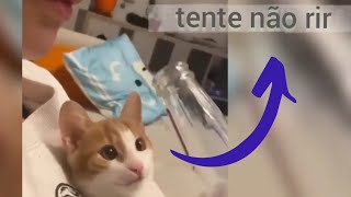 Animais Engraados | S fofura