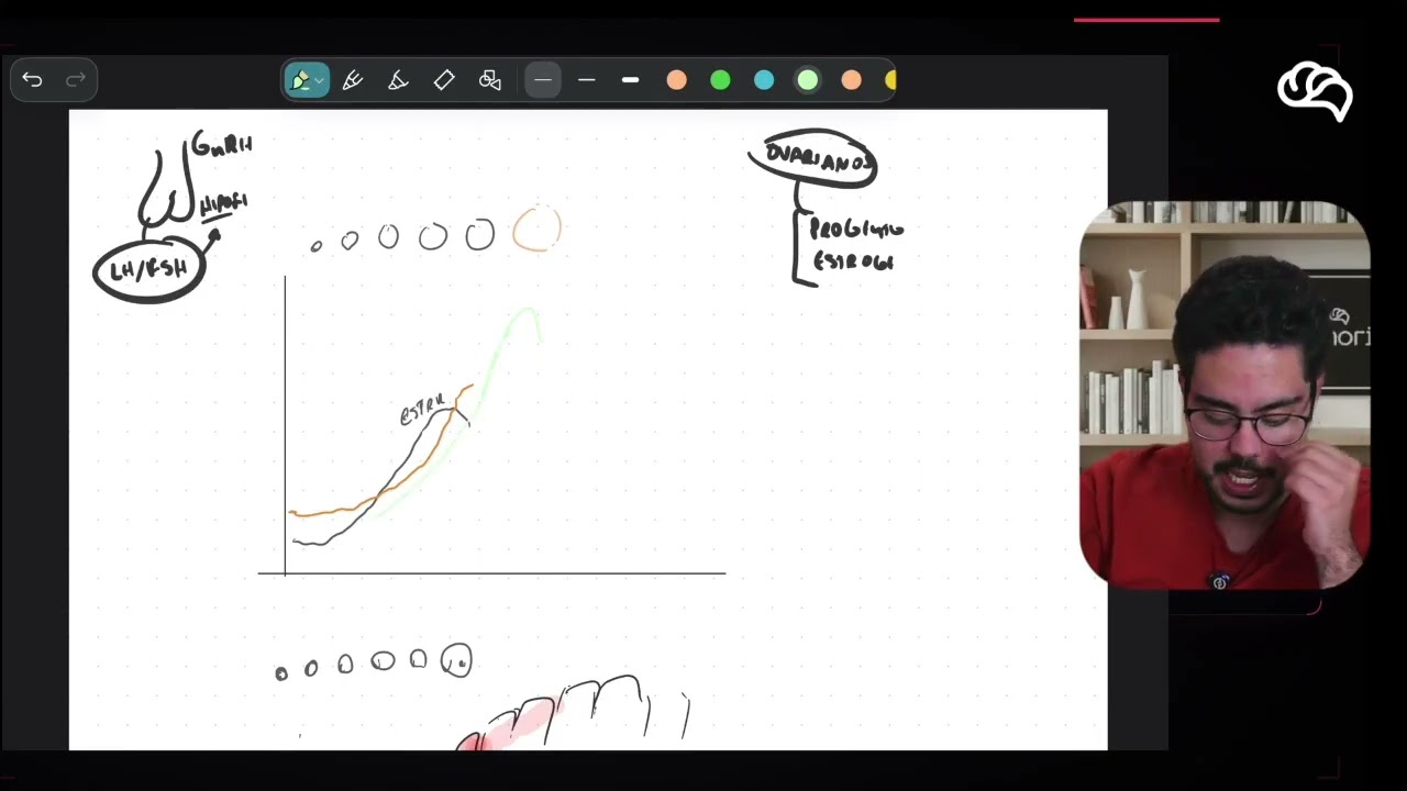 Resolução em Vídeo — Questão 113 ENEM 2025 Belém