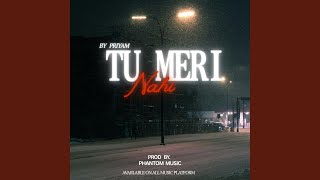 Download lagu Tu Meri Nahi mp3