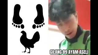 Download lagu Gilang pecinta ayam #memes #sungutlele mp3