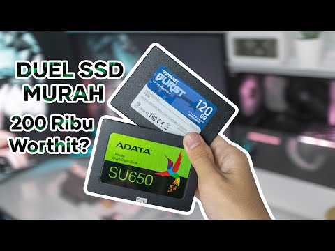 Mana Lebih Kenceng? Patriot Burst vs Adata SU650 120GB | Duel Benchmark SSD!