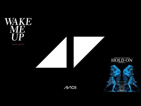 Avicii x Henrik B x David Spekter - Wake hold me up (Mashup)