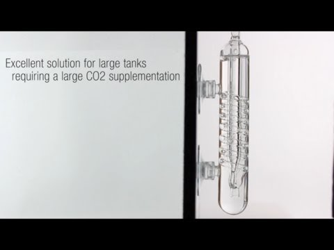 Watch Video on YouTube