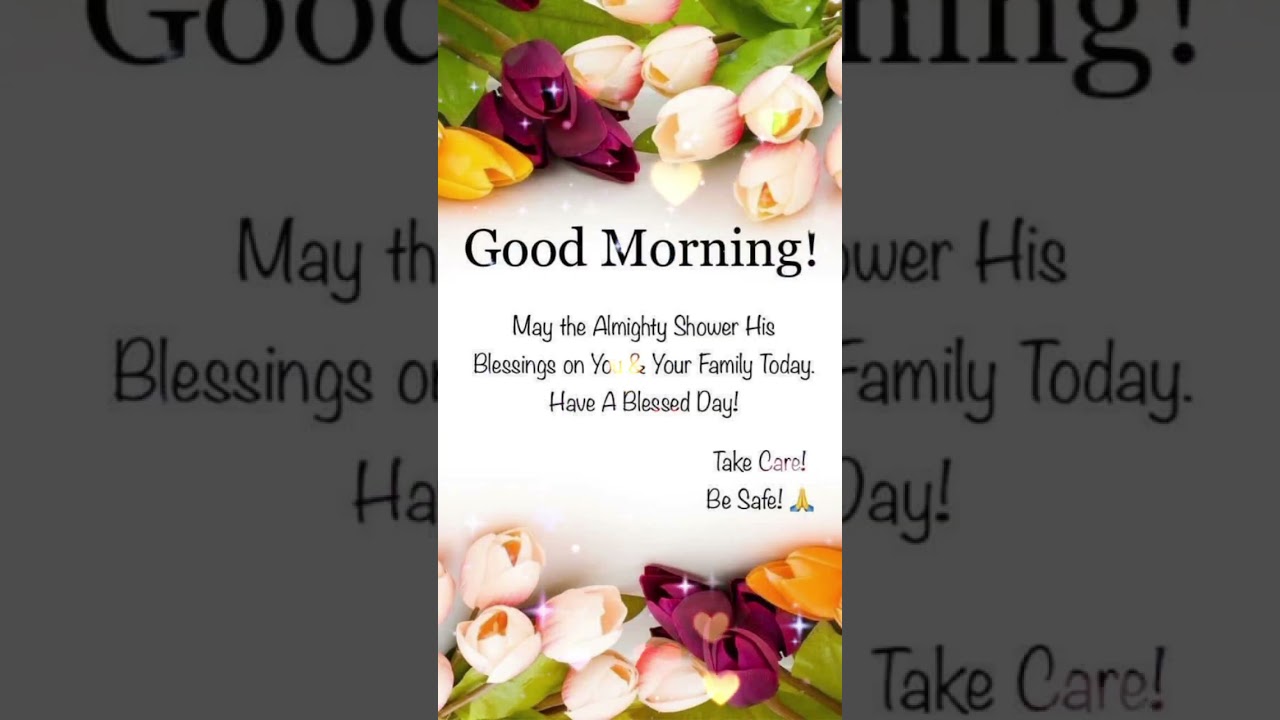 Happy Friday🌹🌹 | Good morning | #morningvibes #shorts #youtube #diya