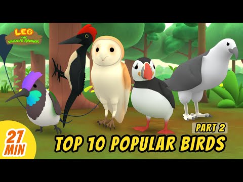 Top 10 Popular Birds Minisode Compilation (Part 2/2) - Leo the Wildlife Ranger | Animation