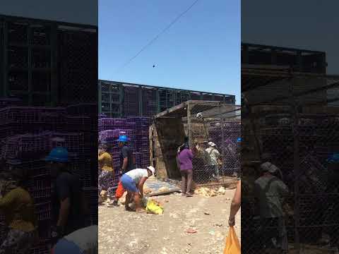 Accidente de un camión de pollos en Pacasmayo La Libertad Perú