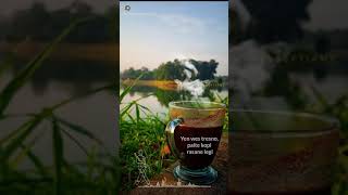 Download lagu status whatsap prei kanan kiri mp3