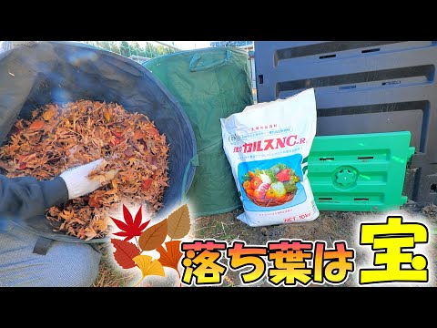 youtube-動物記事1970/01/01 09:00:00