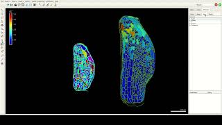 Movie 7 Data Analysis with R
