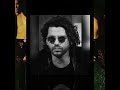 INXS-Questions-(Made in Hutchencianas) # I.C. #
