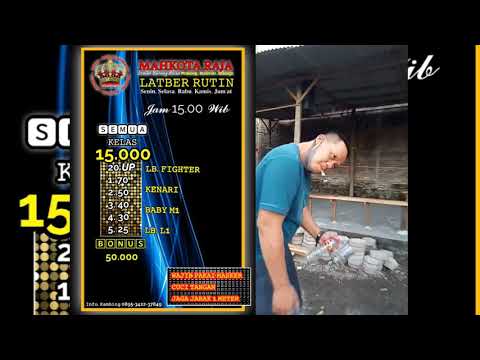 LATIAN BERSAMA SETIAP HARI JAM 3 SORE