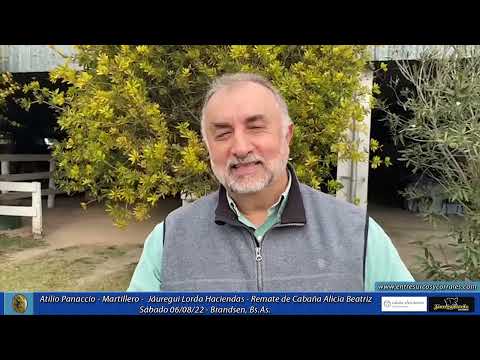 06-08-22 - Atilio Panaccio - Martillero - Jáuregui Lorda Haciendas - Remate de Cabaña Alicia Beatriz