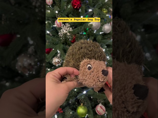Vídeo relacionado con Outward Hound Invincibles - Juguete chillón para Perro Minis Fox - Robusto y Duradero