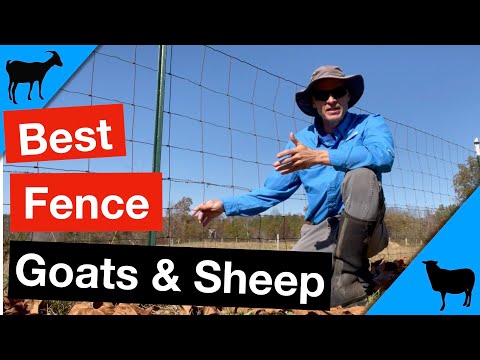 , title : 'Best Fencing for Goats and Sheep'