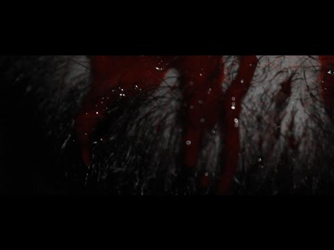 Cannibal Grandpa - Gray Man (Official Video) online metal music video by CANNIBAL GRANDPA