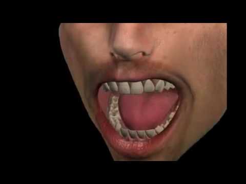 Zahnprothese Unterfütterung