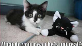 lady saw strip tease