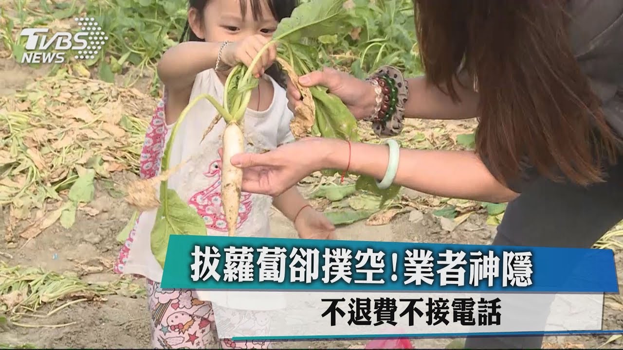 拔蘿蔔卻撲空!業者神隱 不退費、不接電話