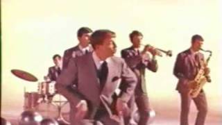 Fabulous Flippers - &quot;Tell the Truth&quot;