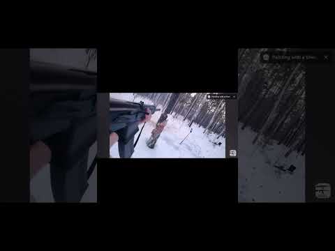 Cutting a tree down with a AK Saiga 12 shotgun - easy? #tree #fypシ