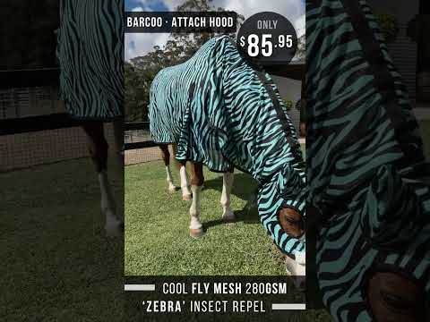 Delzani Barcoo Air-Mesh Horse Rug video preview – airflow, comfort, insect protection