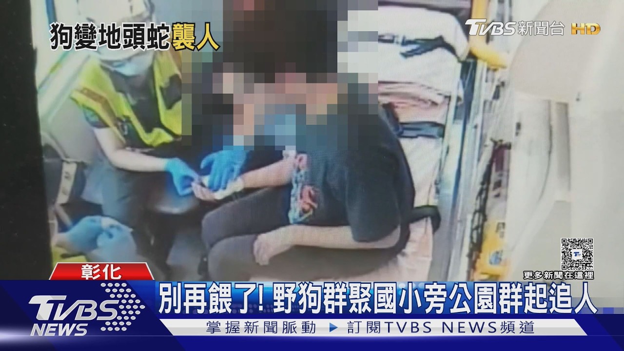暑假公園淪狗地盤！男被追摔傷　怒控「愛爸愛媽」餵食惹禍