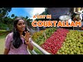 Courtallam Waterfalls Day Trip Mutton Sappadu Virunthu Tastee With Kiruthiga