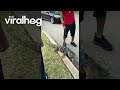 Man Walks Pet Monitor Lizard || ViralHog