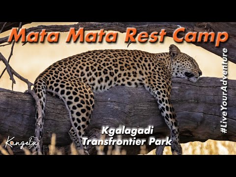Mata Mata Rest Camp in the Kgalagadi Transfrontier Park by SANParks