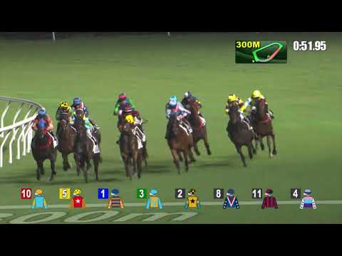 5/10/2022 (66) Sunny And Gold - A Hamelin