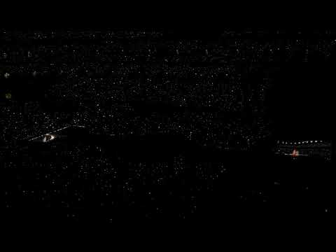 Black dog x maroon x come back be here