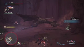 【MHW】