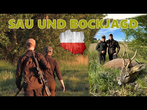 Zur Pirschjagd in Polen auf Rehbock und Sau - Jagdkrone