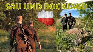 Zur Pirschjagd in Polen auf Rehbock und Sau - Jagdkrone