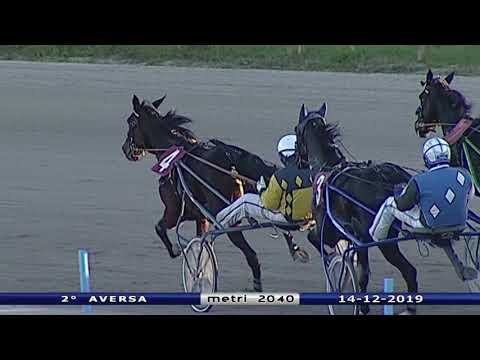 Aversa trotto 14 Dicembre 2019 - 2° Corsa