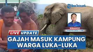 2 Gajah Liar Serbu Permukiman di OKI, Warga Alami Luka-Luka