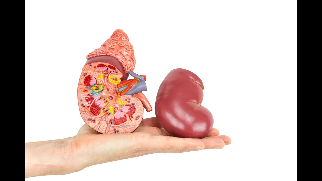 Eduardo Machuca Neira-2