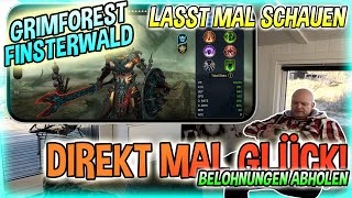 Raid | Grimforest / Darkwood 🌲 - Opening the Chest - My Opinion on the New Content