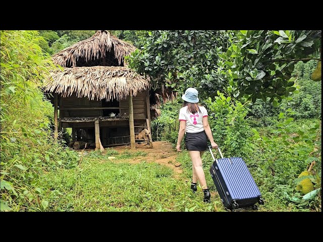 Talented young woman left the city, returned to old house in the forest built a new house - Finish SDDEFAULT Thumbnail