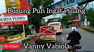 Download lagu BURUNG PUN INGAT PULANG - NIA DANIATY COVER VANNY VABIOLA mp3 Download lagu BURUNG PUN INGAT PULANG - NIA DANIATY COVER VANNY VABIOLA mp3