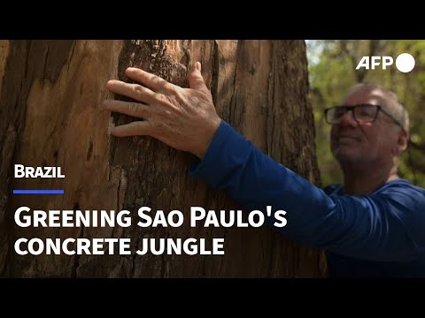 Video Thumbnail: 'Crazy' tree planter greening Sao Paulo concrete jungle | AFP