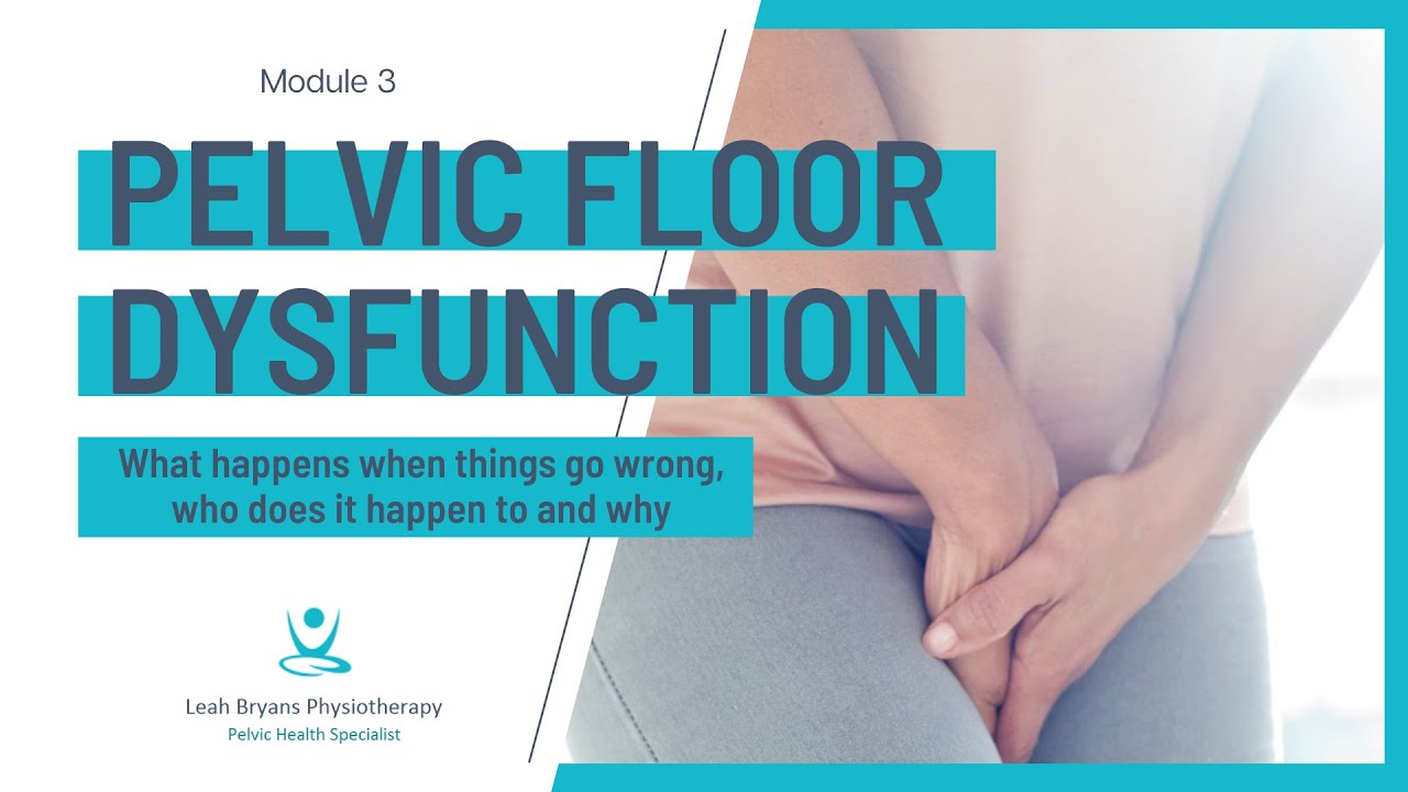 Module 3 - Pelvic Floor Dysfunction | Postnatal Essentials for Pilates and Fitness Professionals