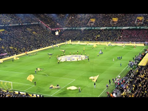 Borussia Dortmund - Inspiring its fans to be more sustainable