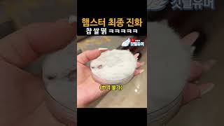 유튜브 썸네일