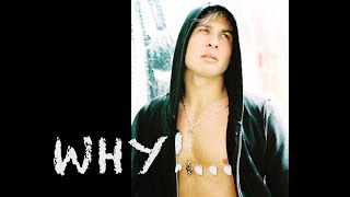 Sean van der Wilt - WHY!... (Audio)