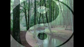 HARMONY AND BALANCE ATTAINMENT
