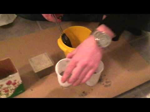 Årets hantverk - Concrete Candelia UF