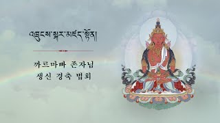 까르마빠 존자님 생신 경축 법회