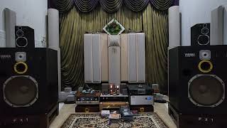 Janis Ian. This Train Still Runs...