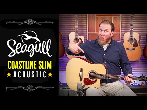 🔥Hidden Gem? Seagull Coastline CW Acoustic/Electric Review! 🎸